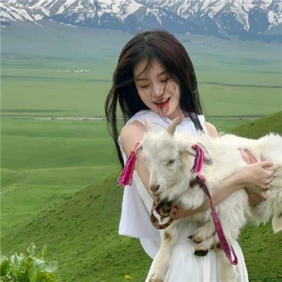 我的温尼伯